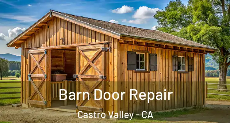 Barn Door Repair Castro Valley - CA