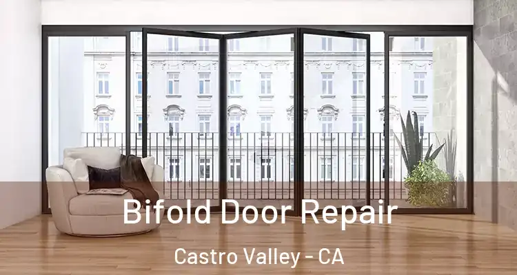 Bifold Door Repair Castro Valley - CA