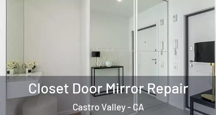 Closet Door Mirror Repair Castro Valley - CA