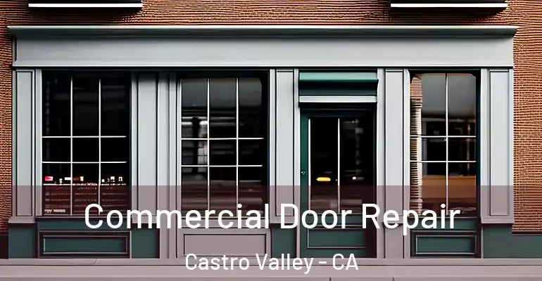Commercial Door Repair Castro Valley - CA