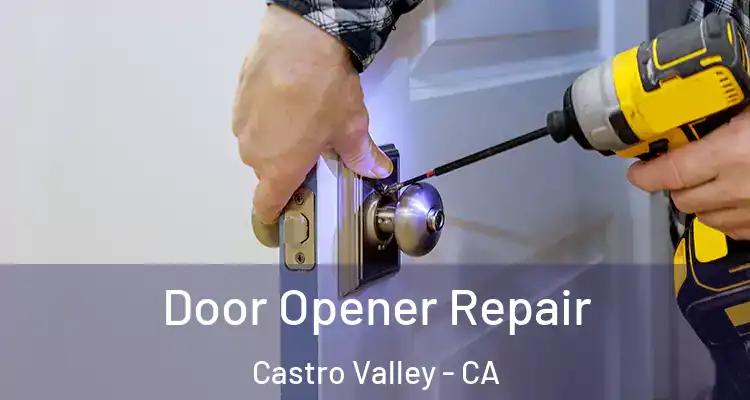 Door Opener Repair Castro Valley - CA
