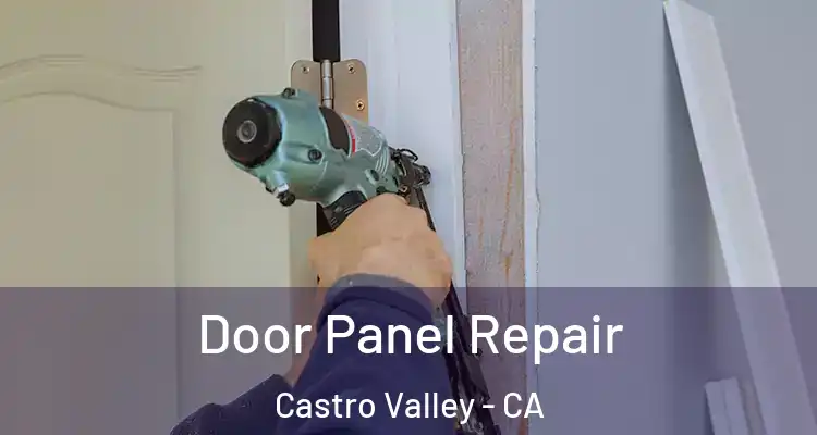 Door Panel Repair Castro Valley - CA