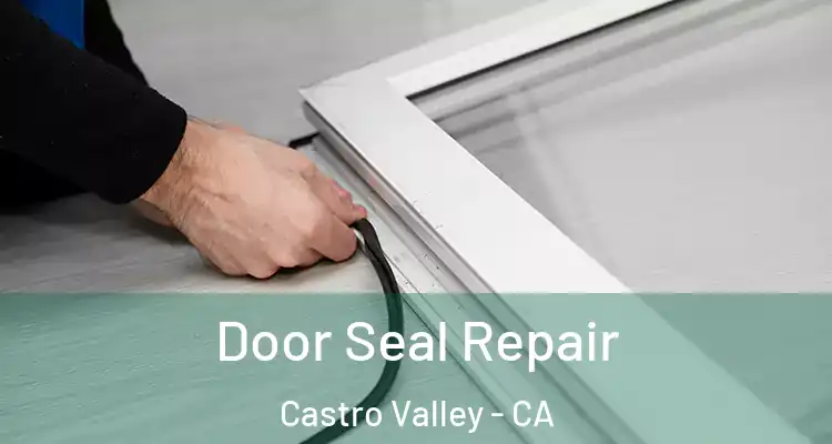 Door Seal Repair Castro Valley - CA