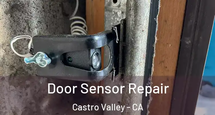 Door Sensor Repair Castro Valley - CA