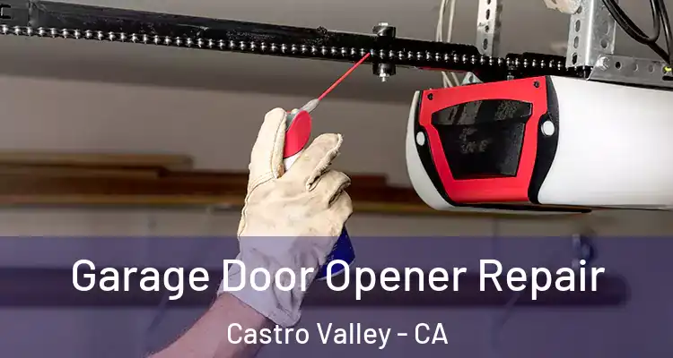 Garage Door Opener Repair Castro Valley - CA
