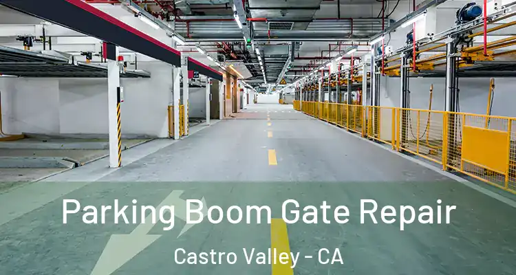 Parking Boom Gate Repair Castro Valley - CA