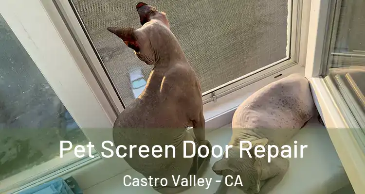 Pet Screen Door Repair Castro Valley - CA