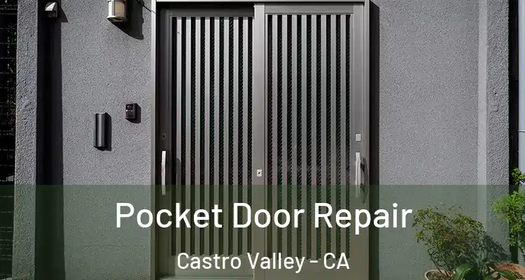 Pocket Door Repair Castro Valley - CA