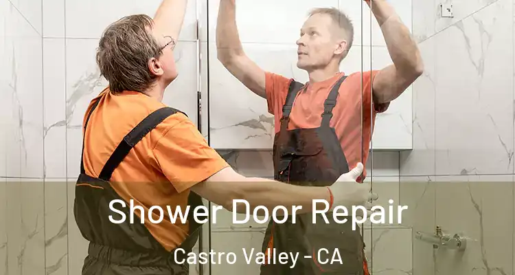 Shower Door Repair Castro Valley - CA