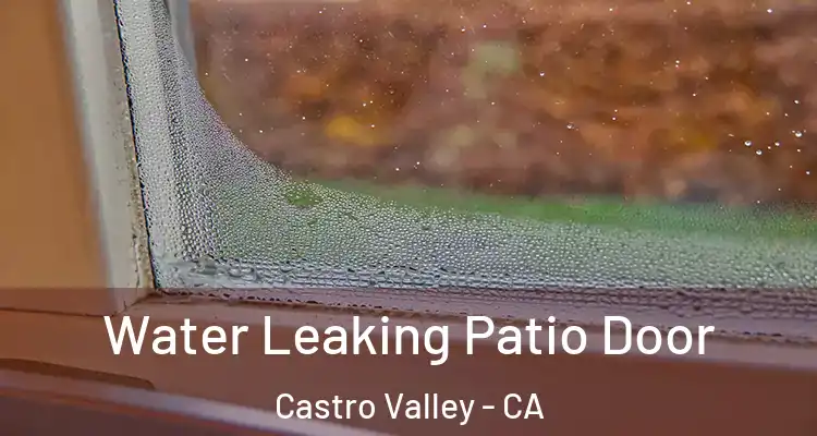 Water Leaking Patio Door Castro Valley - CA