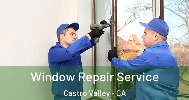 Window Repair Service Castro Valley - CA
